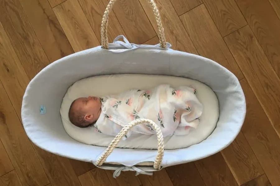 Jak vybrat Mojžíšův koš