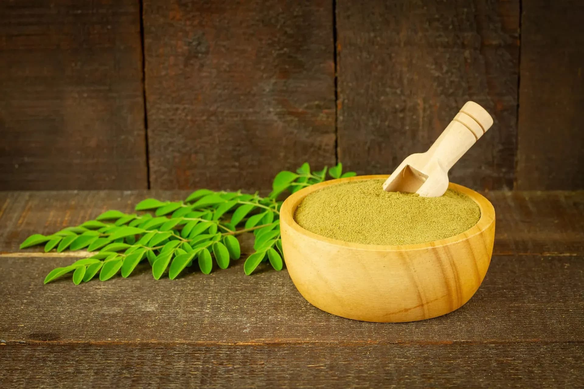 Moringa - sušená v misce a listy