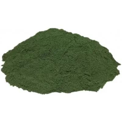prášek ze spiruliny