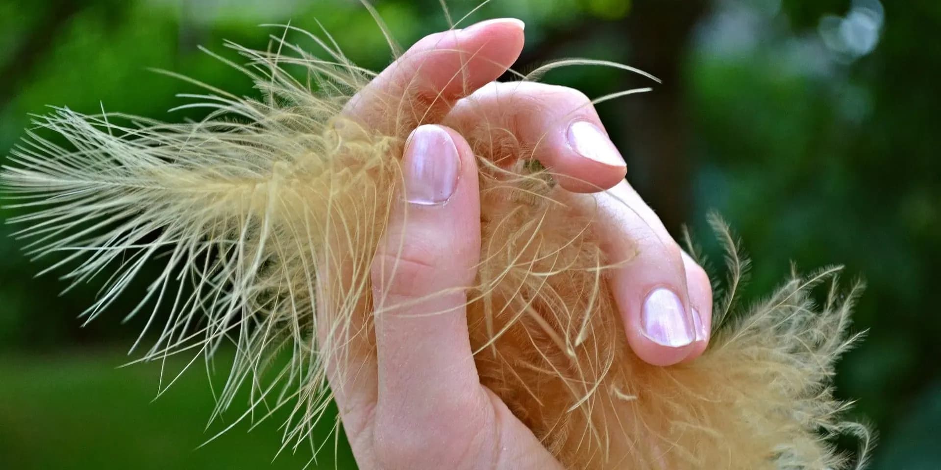 Vitamíny na nehty - nehty s pírkem