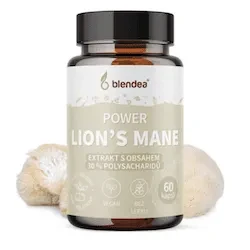 Blendea Power Lion’s Mane