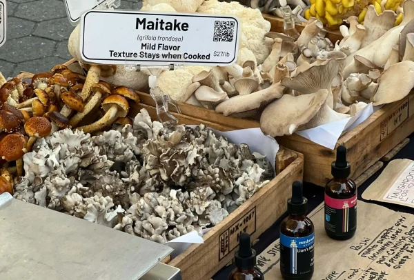 Maitake