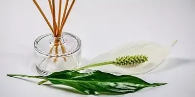 Aroma difuzéry