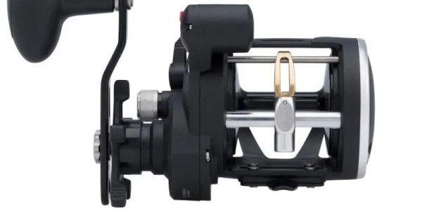 Penn Rival 20