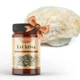 Vifungi Hericium Pro+
