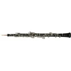 Buffet Crampon Prodige BC4030: Product review