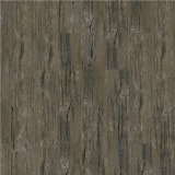 Creation 55 Aspen 0458
