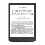 PocketBook 743G InkPad 4