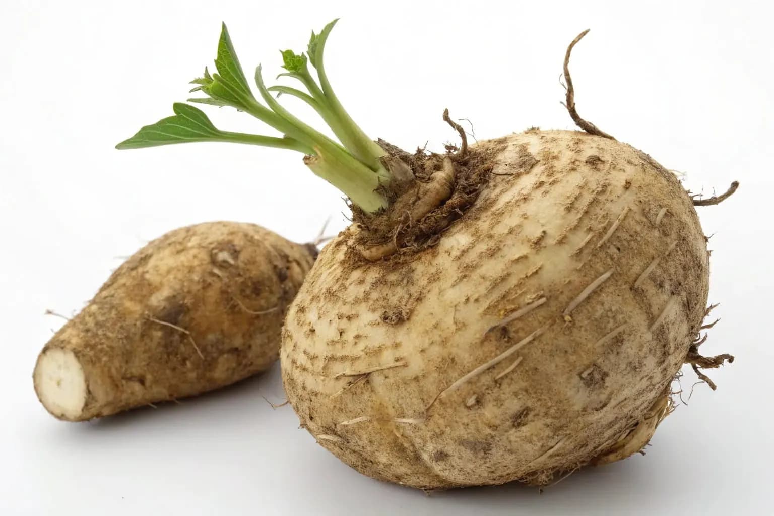 Glucomannan kořen konjacu