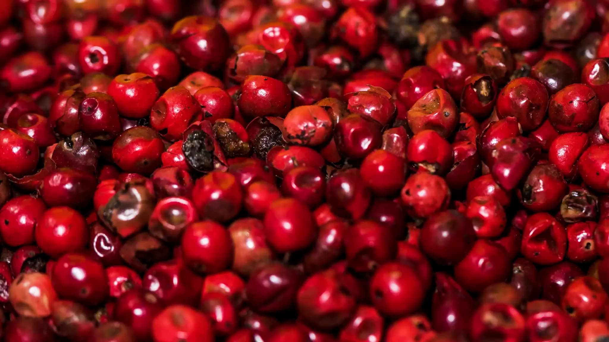 Guarana - sušené plody