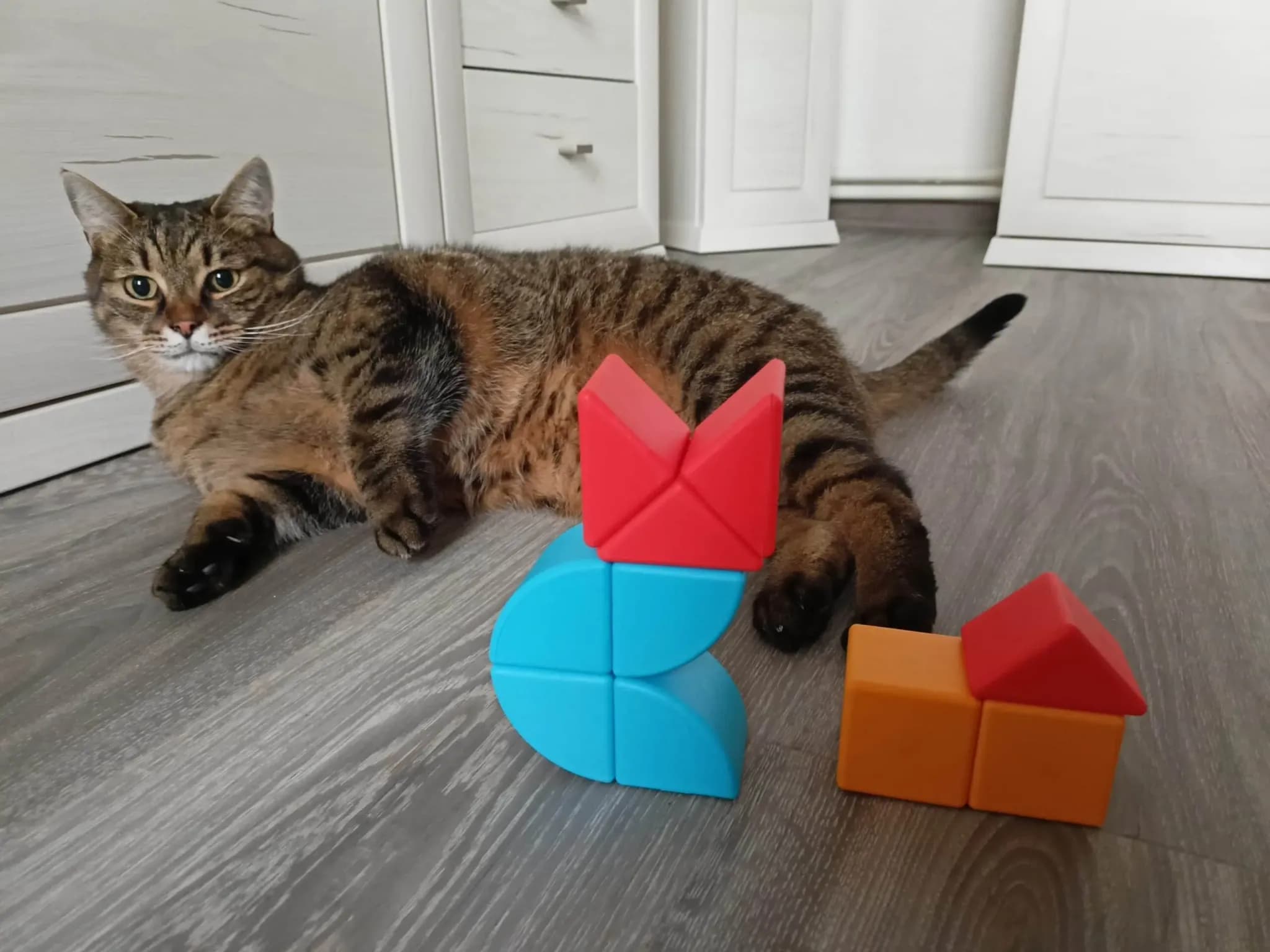Geomag Magicube Blocks & Cards - kostky kočka