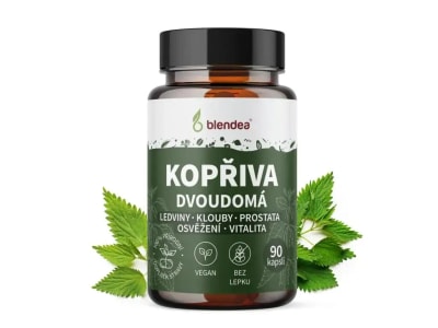 Kopřiva dvoudomá