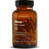 Herbavia Maca