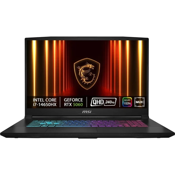 MSI Katana 17 HX B14WFK-078CZ: Product review