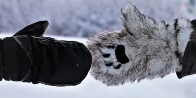 Nejlepší lyžařské rukavice: srovnání a recenze