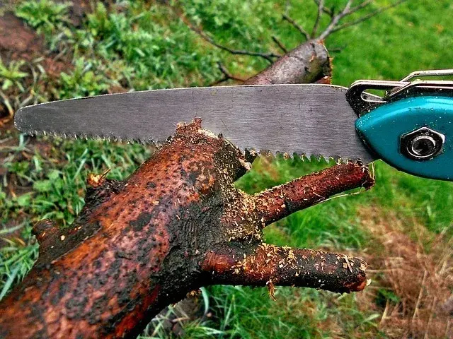 ruční vyvětvovací pila