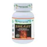 Planet Ayurveda Shilajit Mumio