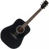 Cort AD 810