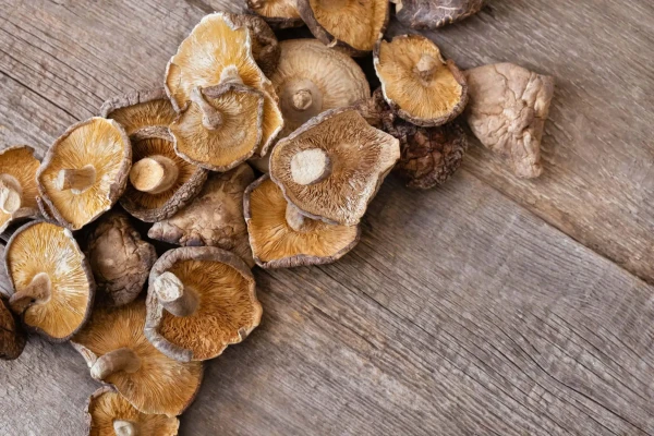 Shiitake