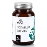 Sibyl Boswellia serrata