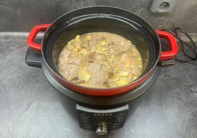 TESLA MultiCook MC600 Pro hodnocení