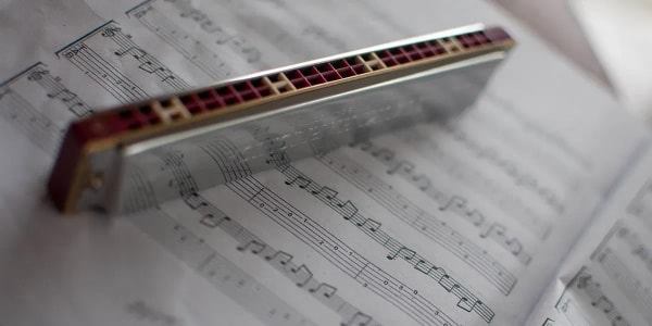Nejlepší foukací harmoniky: srovnání a recenze