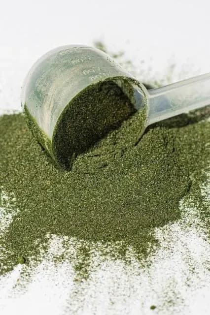 recenze VENIRA Super Greens