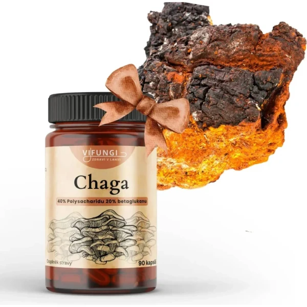 Vifungi Chaga Pro+: Product review
