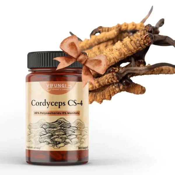 Vifungi Cordyceps CS-4 Pro+: Product review