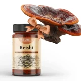 Vifungi Reishi Pro+