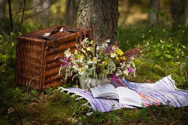 Piknik v přírodě