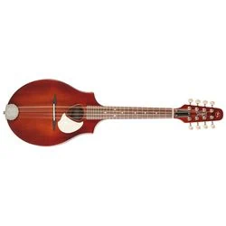Seagull akustická mandolína recenze