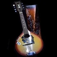 Nejlepší mandolíny 2022 – Test a průvodce výběrem
