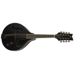 Nejlepší elektroakustická mandolína