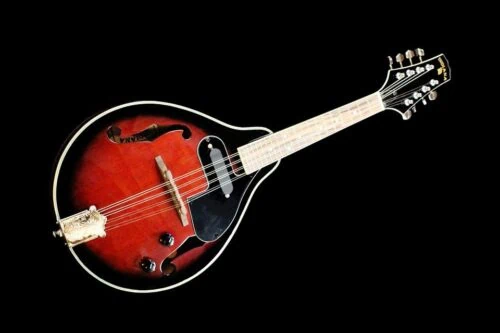 mandolína se snímačem a potenciometry