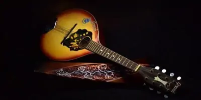 Nejlepší mandolíny 2022 – Test a průvodce výběrem