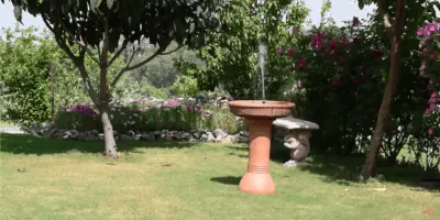 Nejlepší solární fontána na zahradu