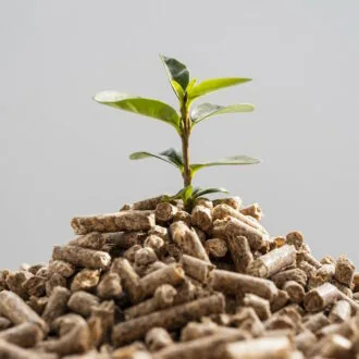 Nejlepší organická hnojiva – recenze a rady jak vybrat