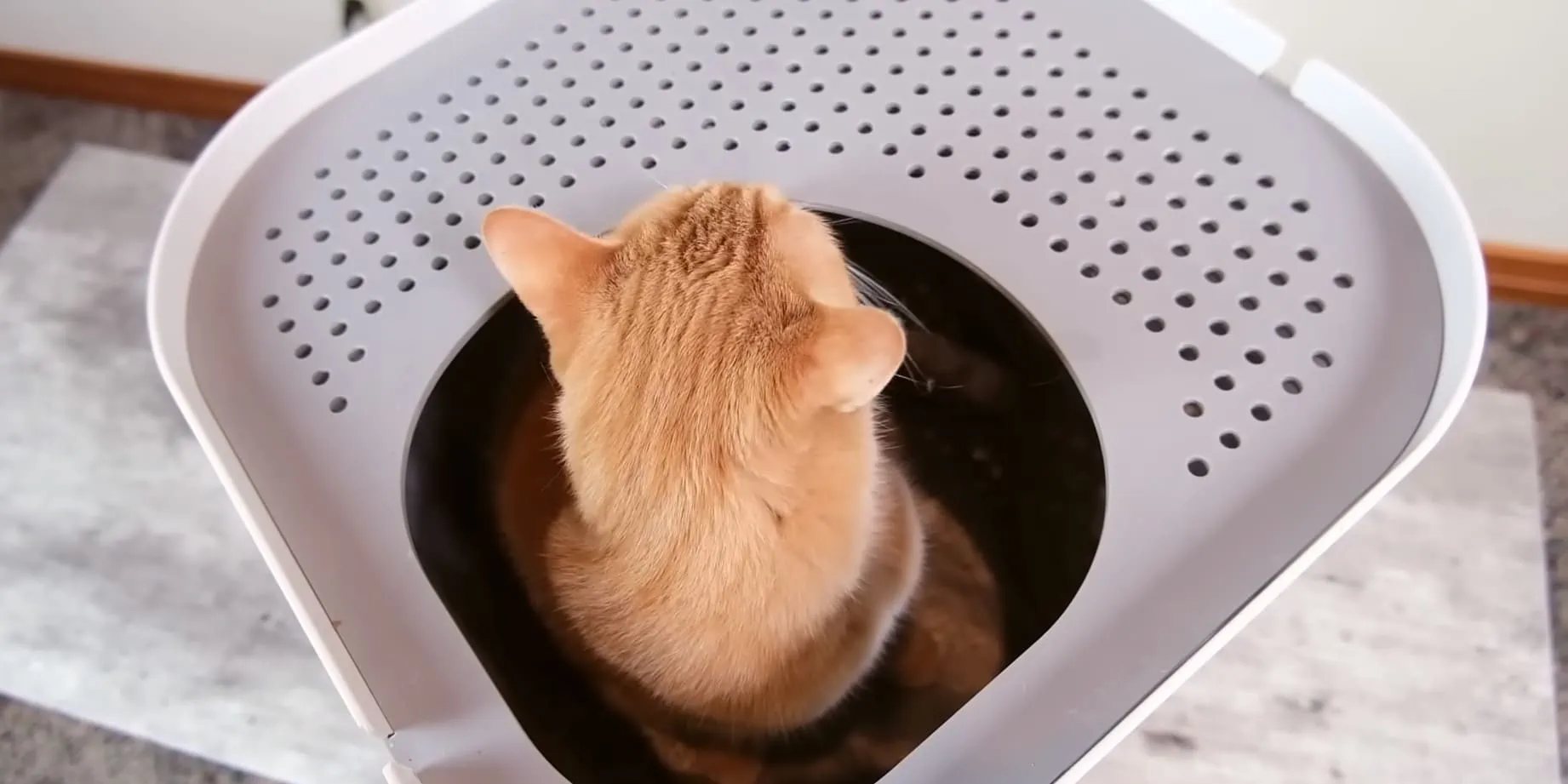 Kočičí záchod - se vstupem shora