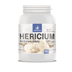 Korálovec ježatý (Hericium erinaceus)