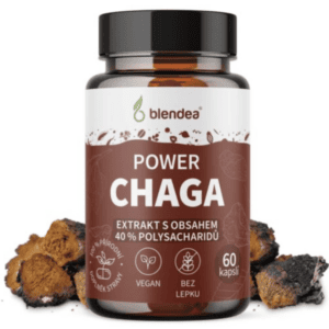 Blendea Chaga extrakt