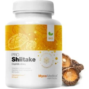 Shiitake